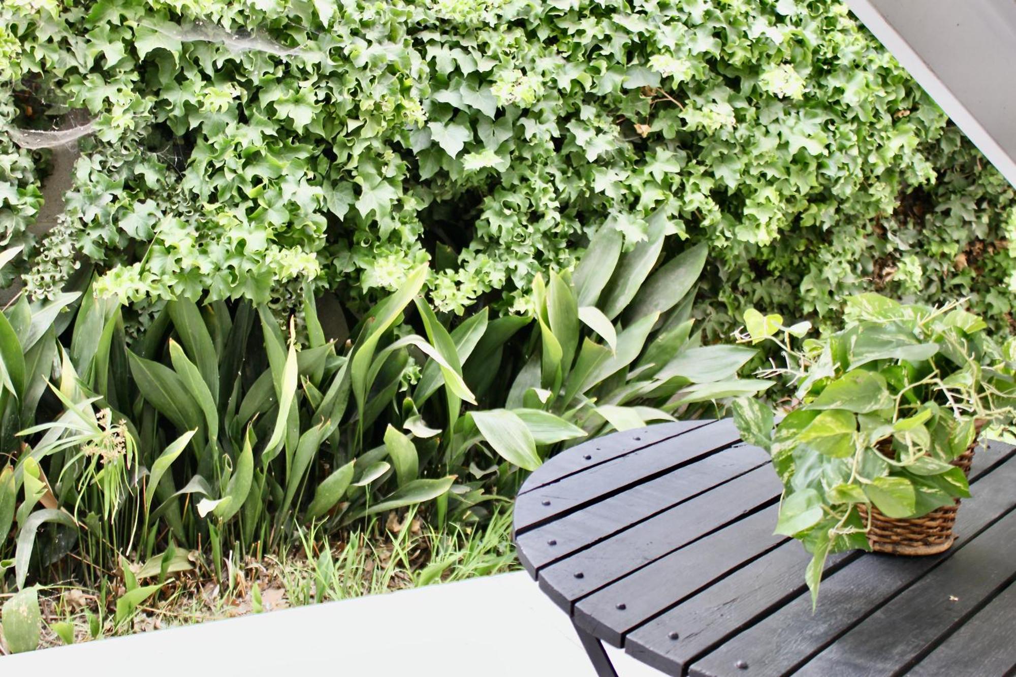 Chic Apartment ลอสแอนเจลิส ภายนอก รูปภาพ